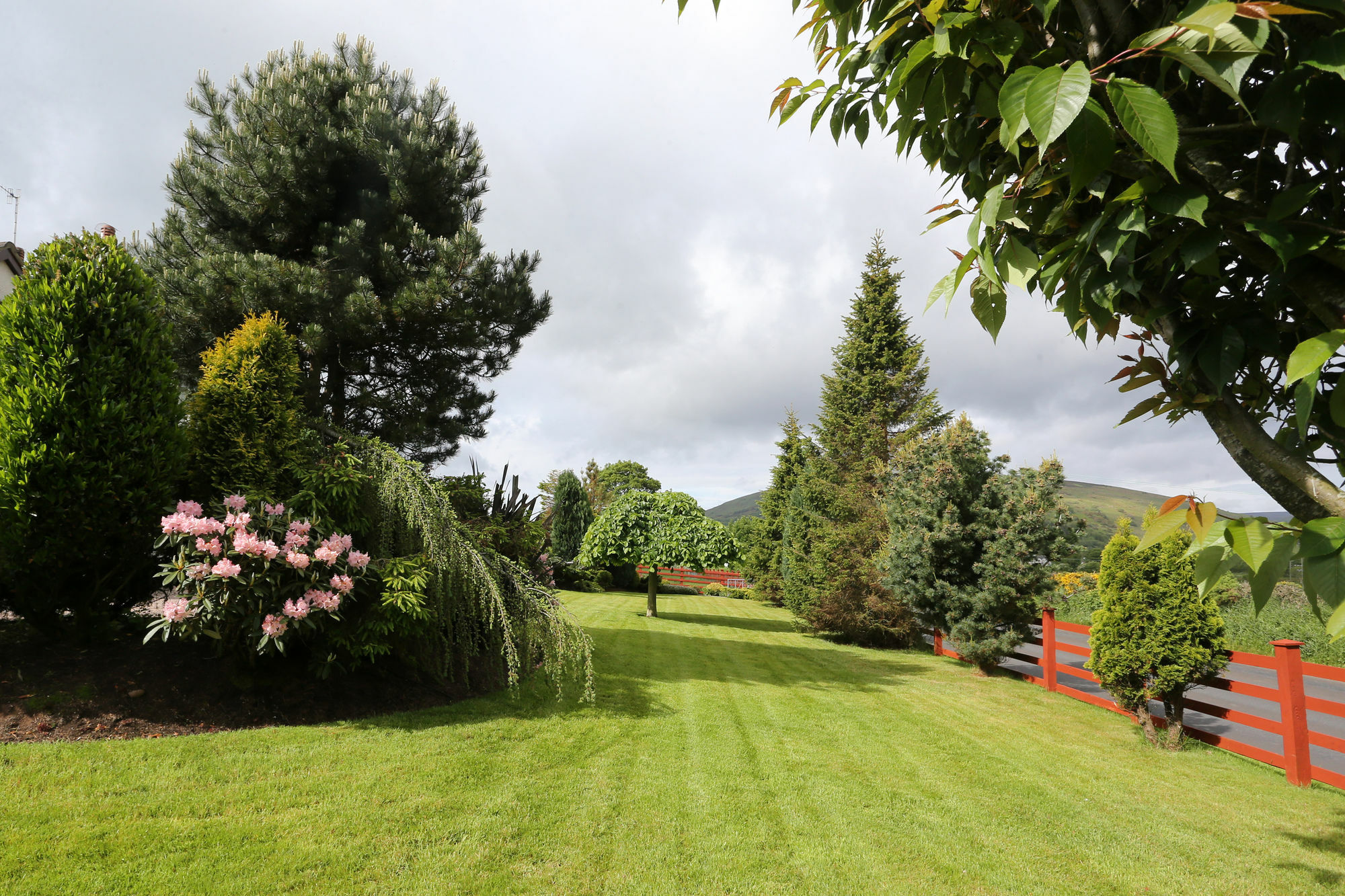 Sleepy Hollow B&B Ballymena Ngoại thất bức ảnh