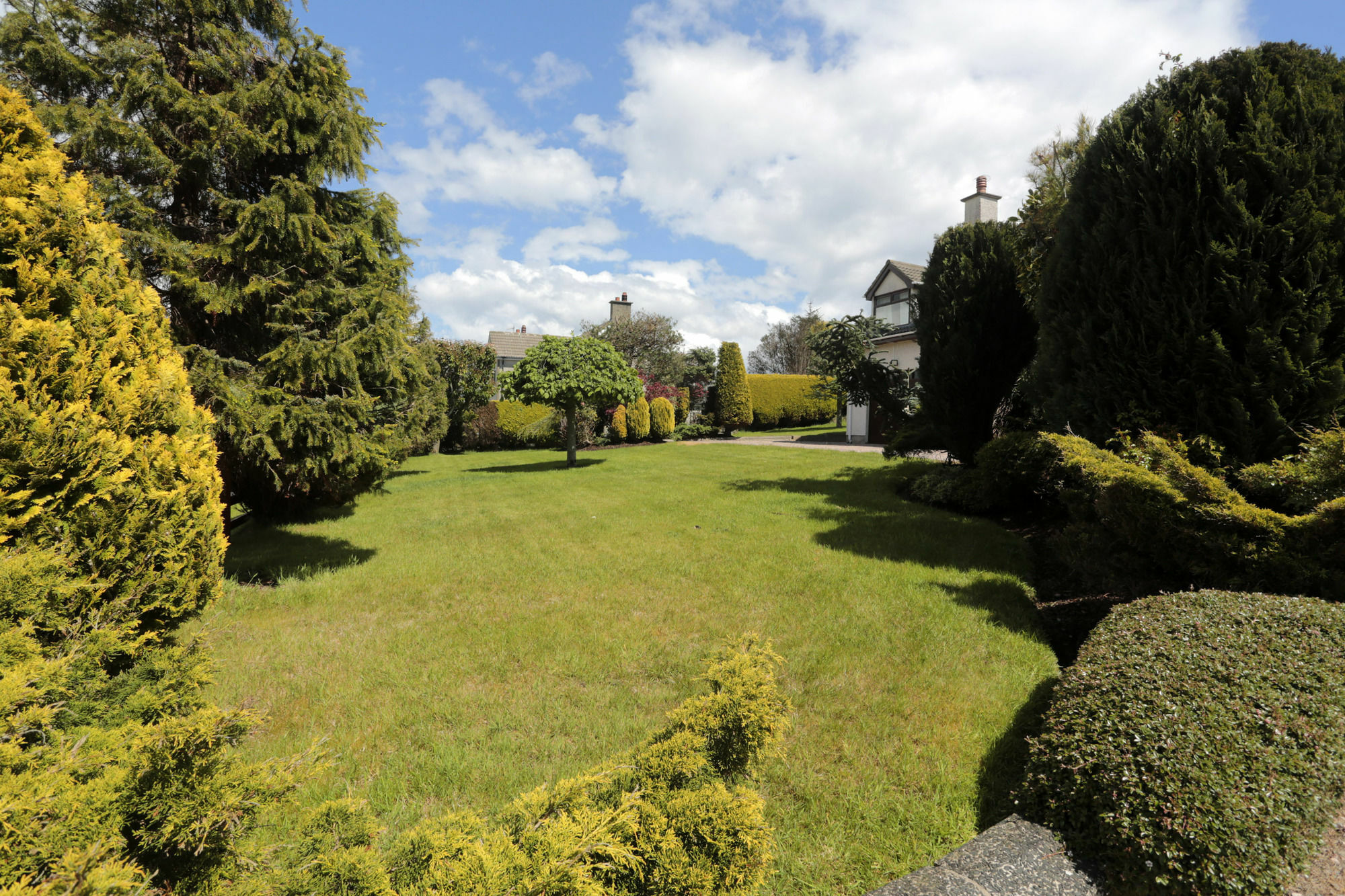 Sleepy Hollow B&B Ballymena Ngoại thất bức ảnh